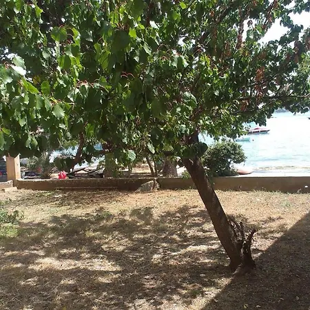 Family Friendly Seaside Preko, Ugljan - 14692 Preko